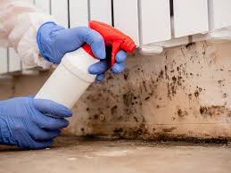 Best Commercial Mold Inspection  in Seville, FL